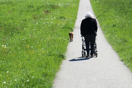 Die Pflege im Ausland: Kosten und Preise für die Versorgung in Alten- & Pflegeheimen außerhalb Deutschlands