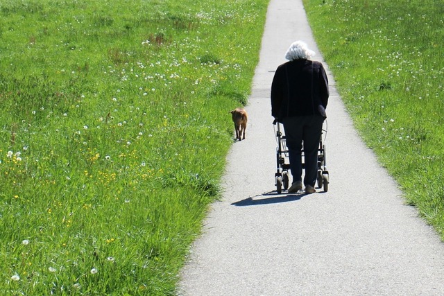 Pflege im Ausland | Kosten | Pflegeheim | Altenheim