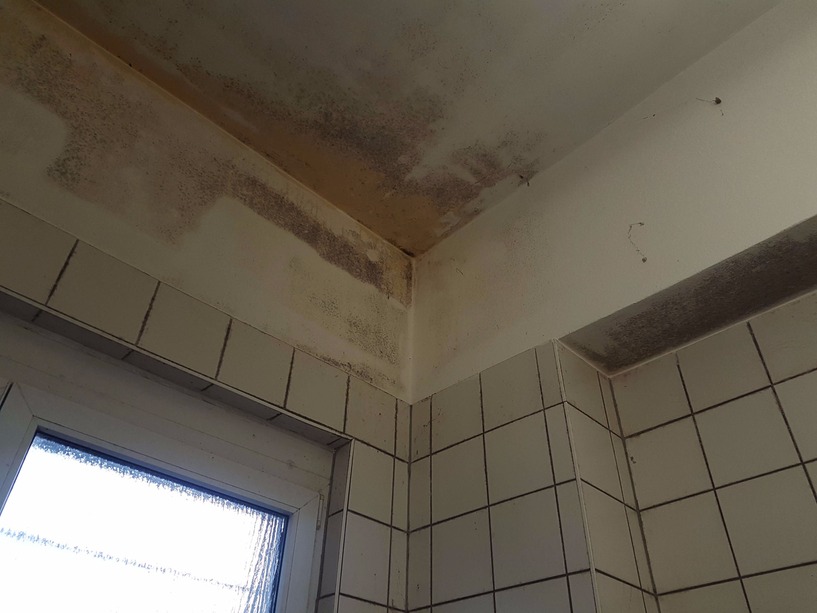 Schimmel in der Dusche, Schimmel im Bad, Sanit&auml;rbereich, Schimmelpilz, Schwamm, Ekel