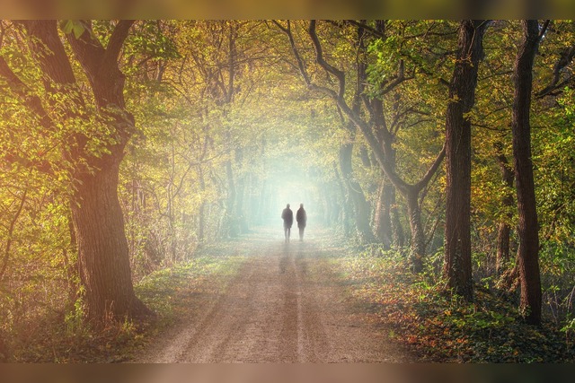 Trauersprüche für Freunde | Gute Bekannte | Beileidskarten | schöne | persönlich