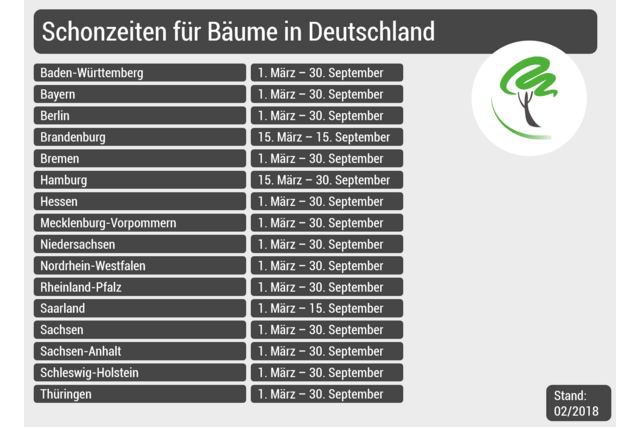 Schonzeiten, Baumfällen