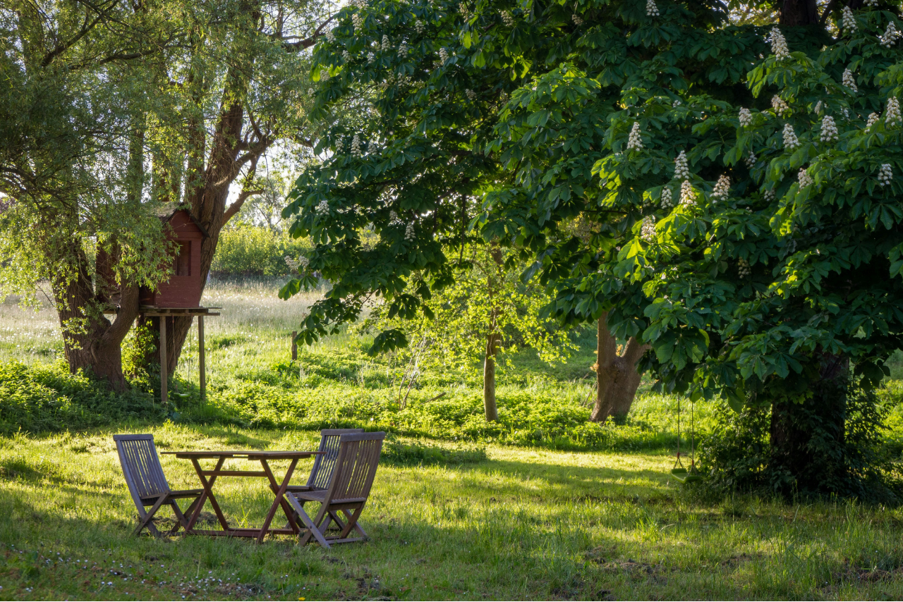Naturnaher Garten zur Entspannung
