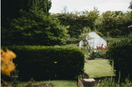 Warum Sichtschutz im Kleingarten wichtig ist