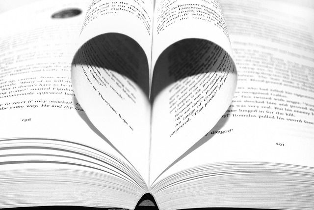 Lesetipps für Senioren | gute Bücher für ältere Frauen | Männer