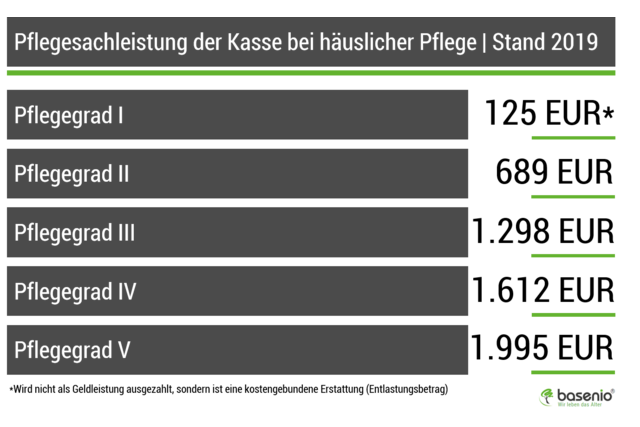 Pflegesachleistung