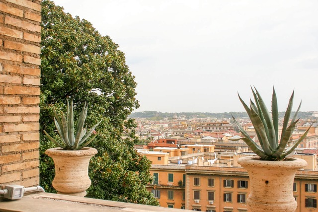 mediterran, Terrakotta, Terracotta, Kaktus, Kakteen, Ausblick, Aussicht