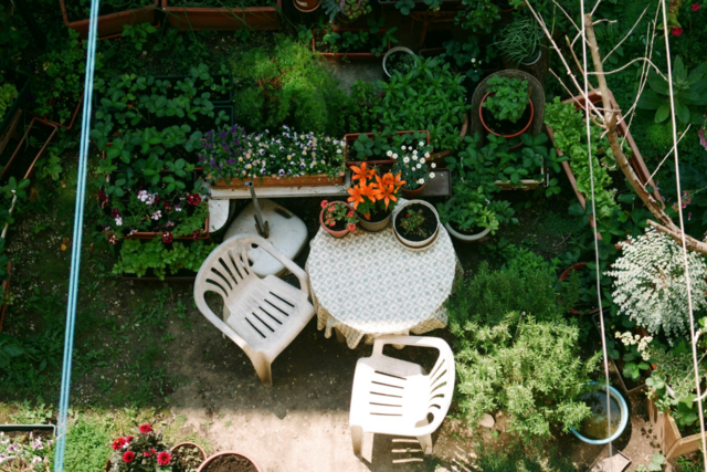 Garten seniorengerecht gestalten – Komfort, Stil & Lebensfreude ab 50