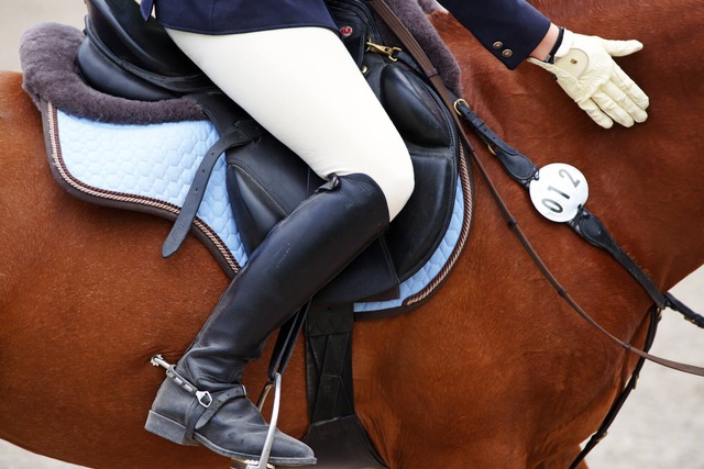 Reitstiefel | Springen | Dressur | Polo | Erfahrungen | Tipps