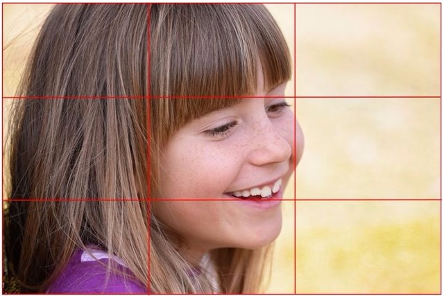 Drittelregel, Raster, Fotografie