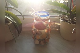 Maritime Windlichter mit Muscheln basteln: Anleitung mit Video & Bildern für Bastelspaß