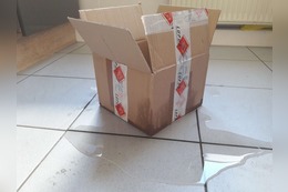 Wasserschaden: Welche Versicherung leistet Entschädigung bei Schadensfall in Eigenheim & Mietwohnung