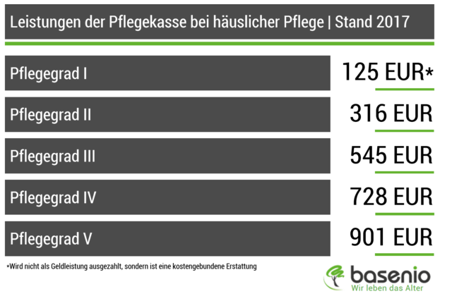 Pflegegeld, Pflegegrad